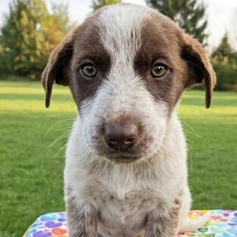 Heatwave thumbnail 2