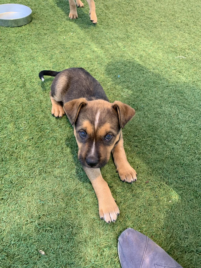 Gravitron thumbnail 2