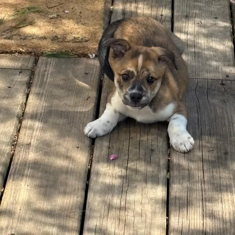 Wrigley thumbnail 3