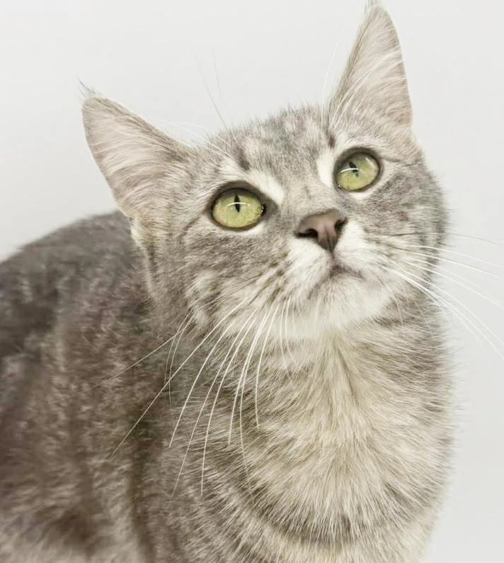 Lilac Is So Darn thumbnail 5