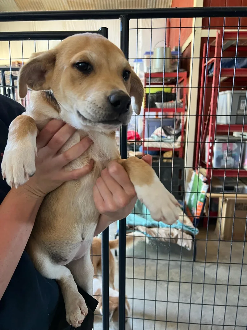 Maybelline thumbnail 2