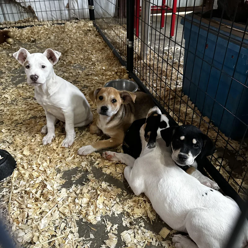 Maybelline thumbnail 3