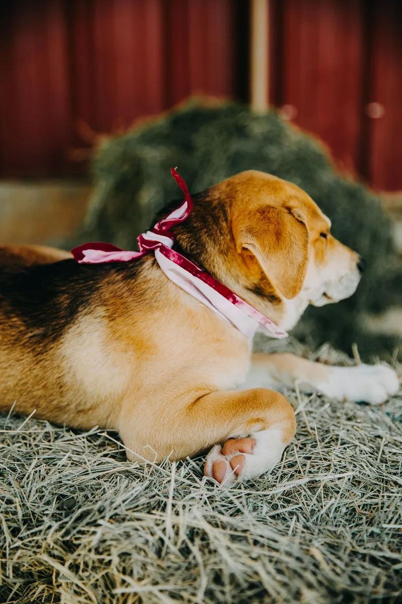 Maybelline thumbnail 4