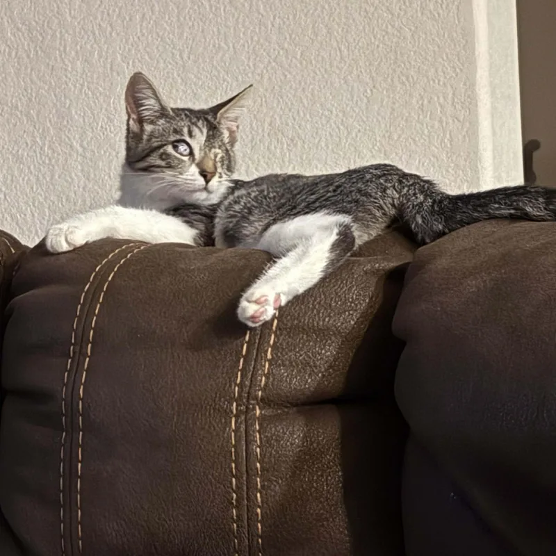 Patricia thumbnail 2