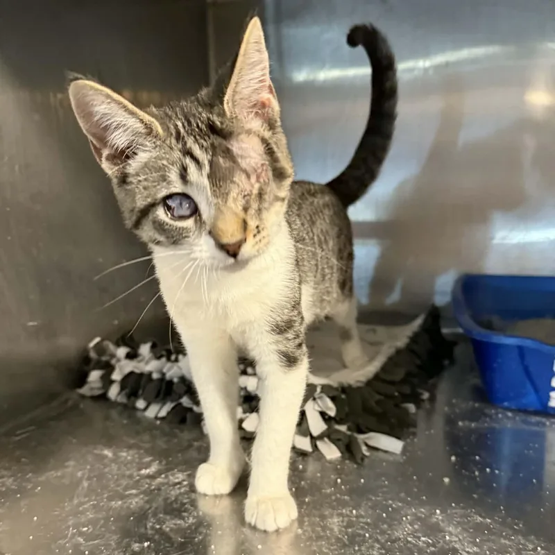 Patricia thumbnail 3