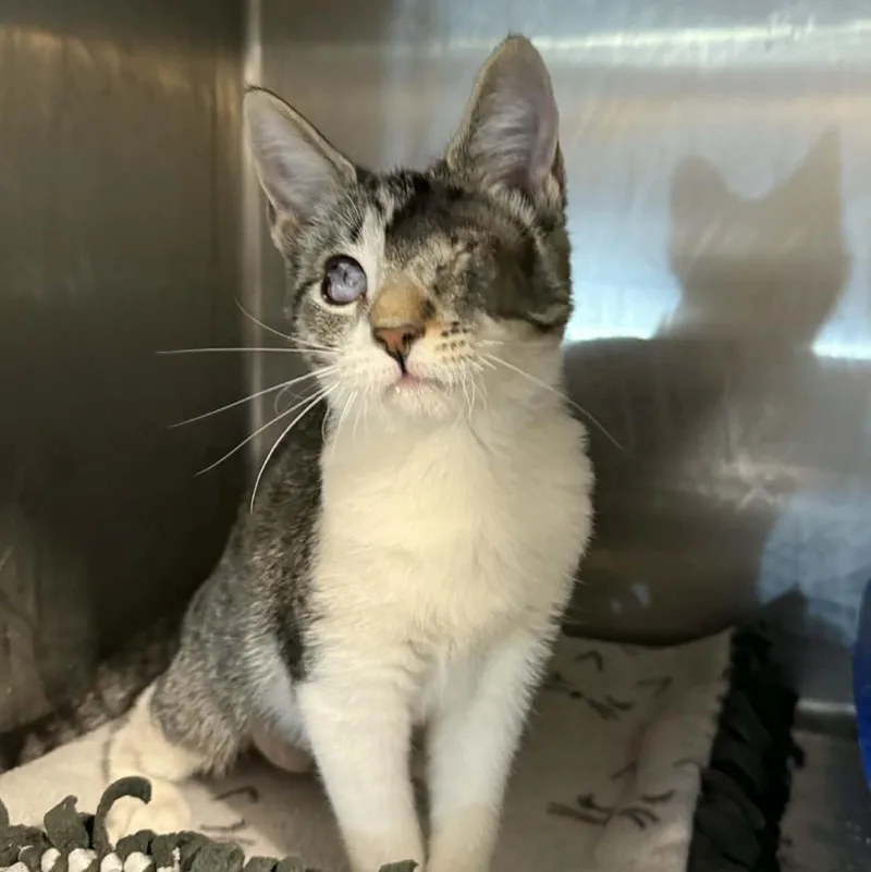 Patricia thumbnail 4