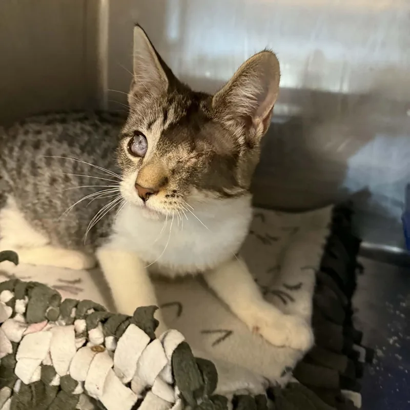 Patricia thumbnail 5