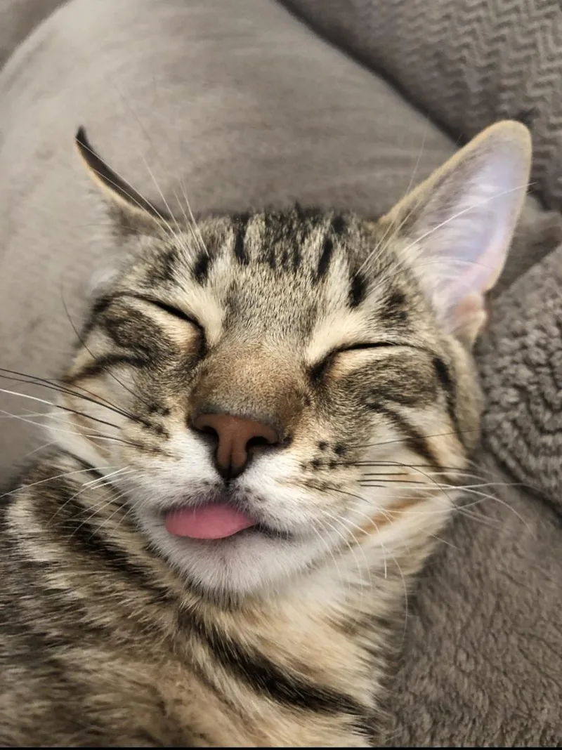 Timber Courtesy Listingcontact Owner