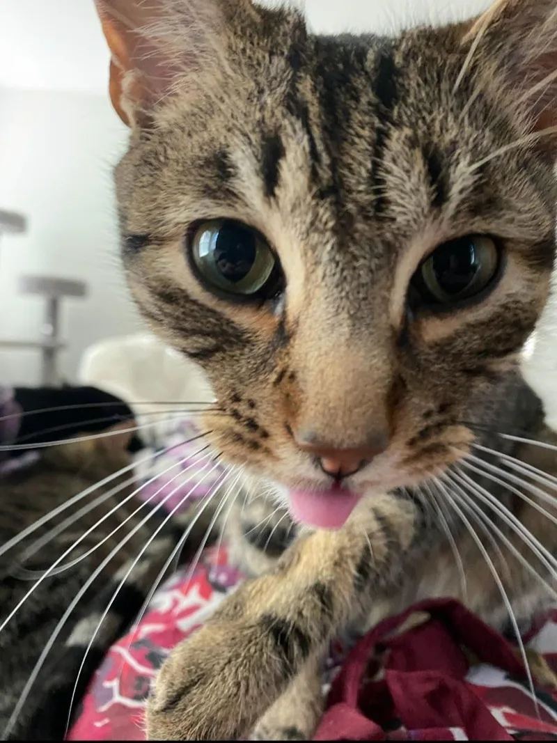 Timber Courtesy Listingcontact Owner thumbnail 3