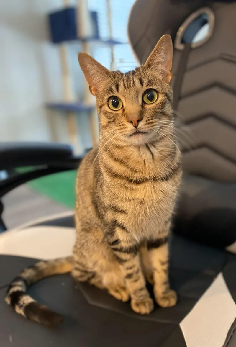 Timber Courtesy Listingcontact Owner thumbnail 4