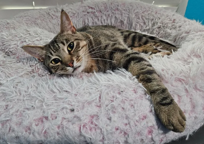 Timber Courtesy Listingcontact Owner thumbnail 5