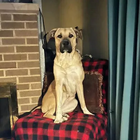 Millie Mae thumbnail 3