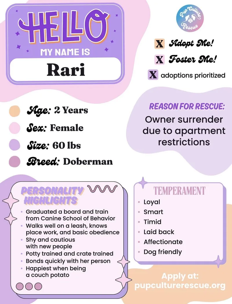 Rari thumbnail 2