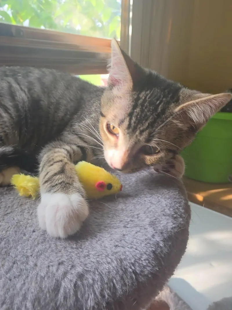 Lenny thumbnail 3