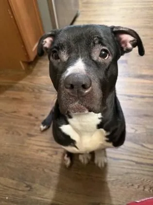 Peaches thumbnail 3