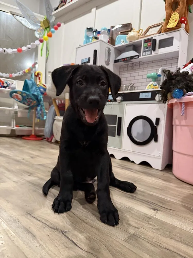 Grootvolume   Located thumbnail 2