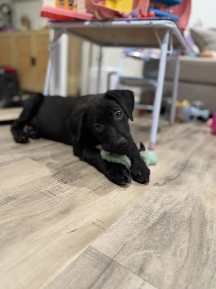 Grootvolume   Located thumbnail 3