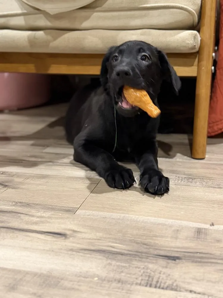 Grootvolume   Located thumbnail 4