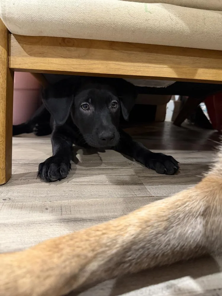 Grootvolume   Located thumbnail 5