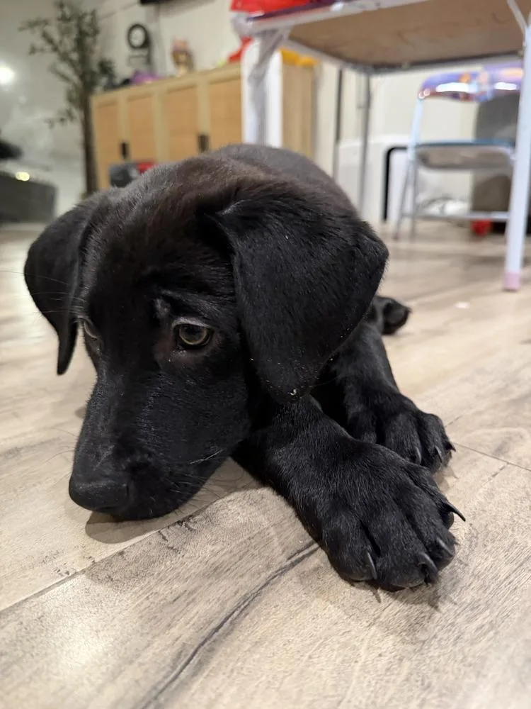 Grootvolume   Located thumbnail 6