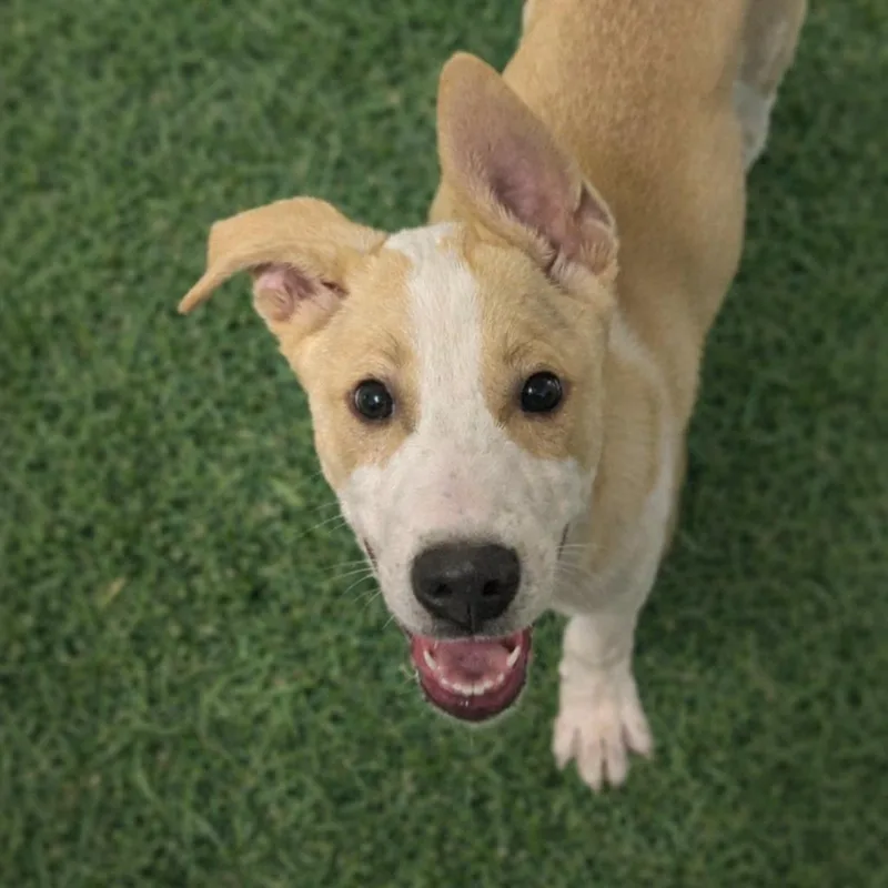 Blizzard thumbnail 3