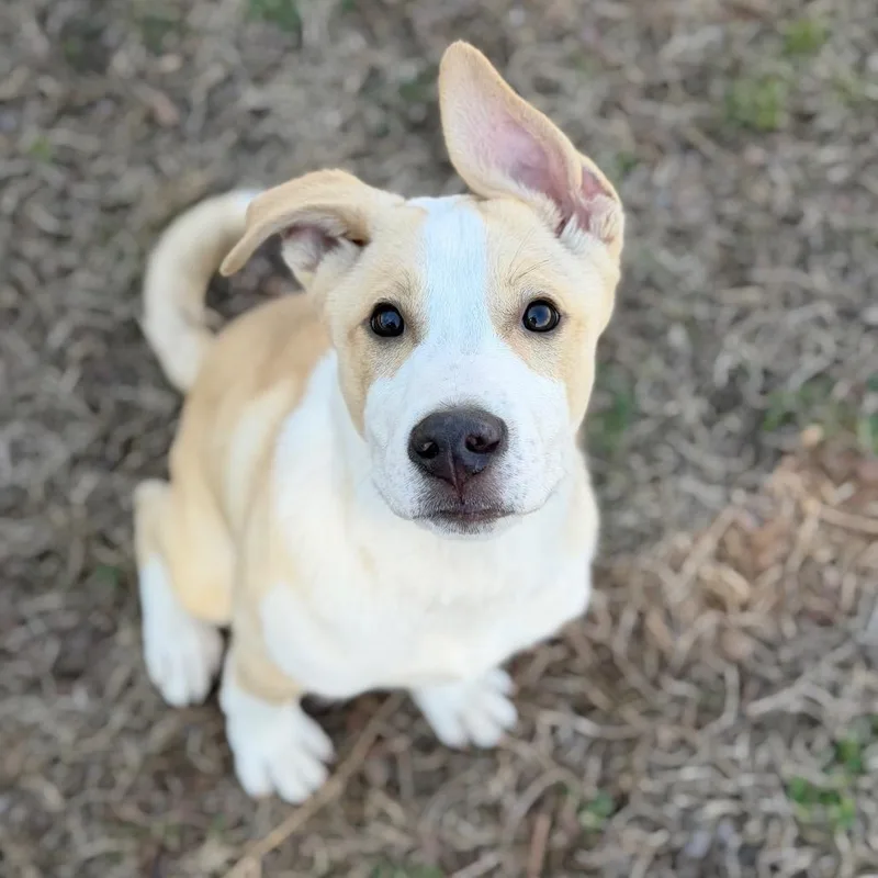 Blizzard thumbnail 5