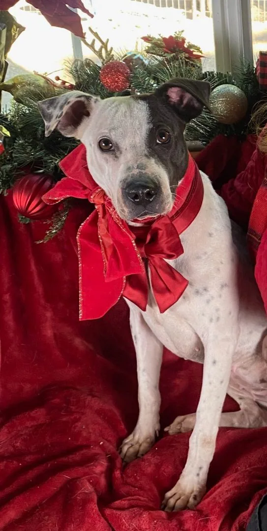 Beautiful Stephanie thumbnail 2