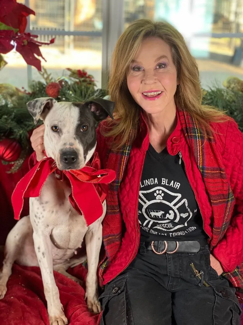 Beautiful Stephanie thumbnail 3