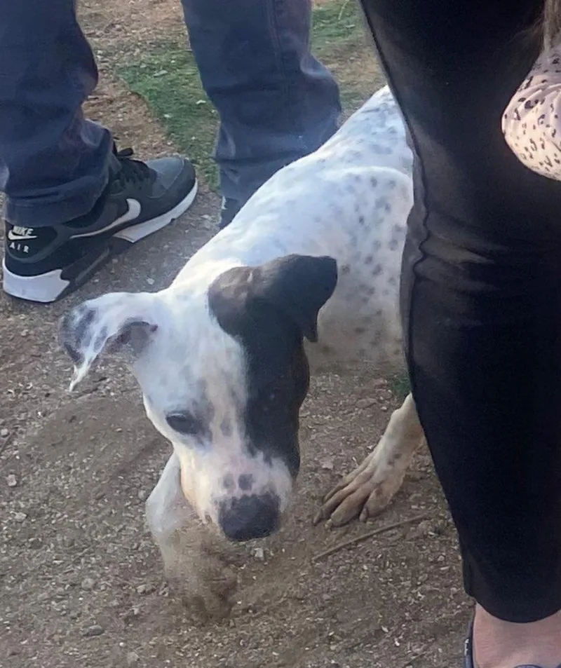 Beautiful Stephanie thumbnail 5