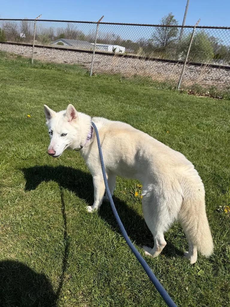 Blanca thumbnail 5
