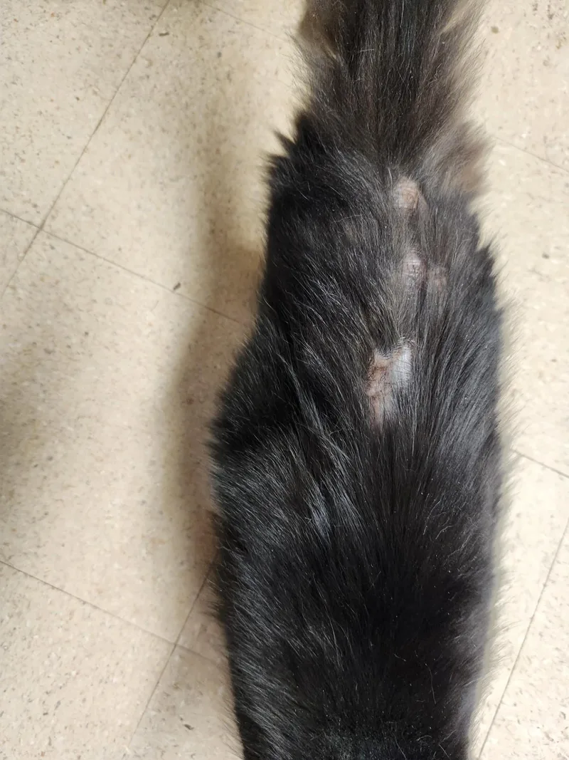 Luna  Taylor thumbnail 5