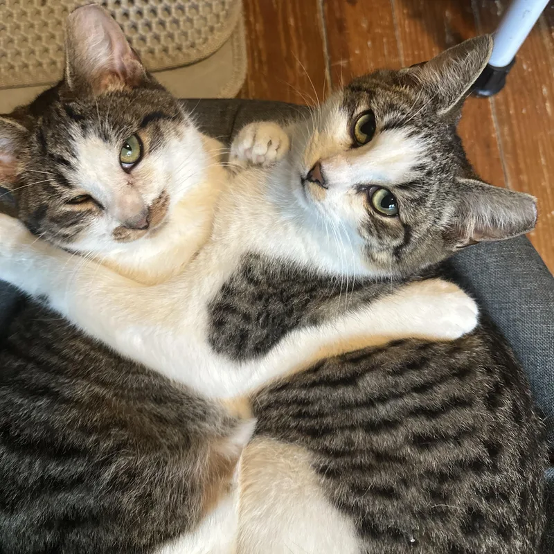 Garth Algar thumbnail 2