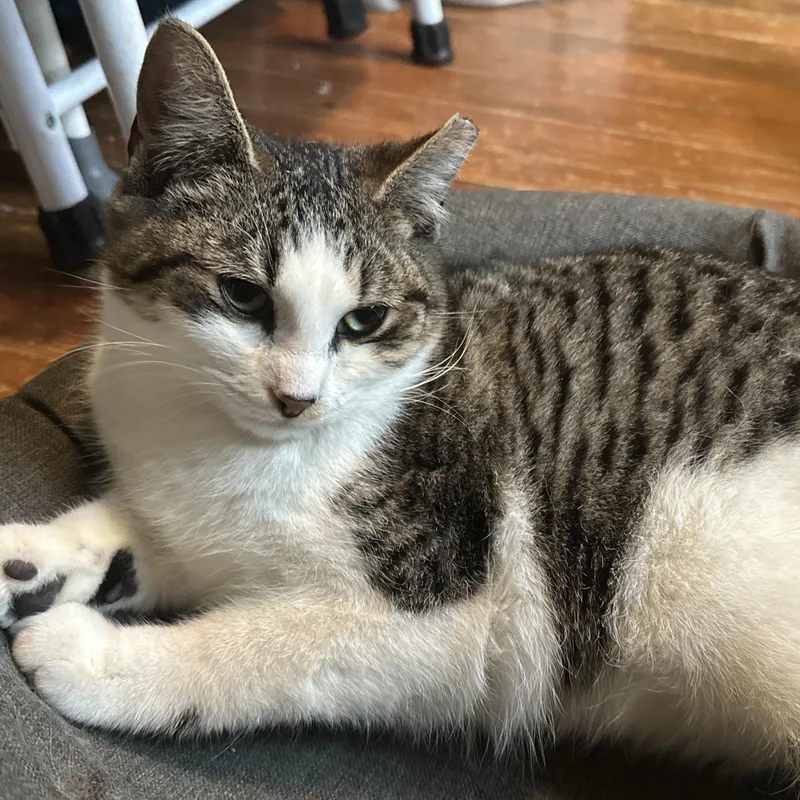 Garth Algar thumbnail 3