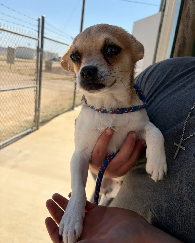 Sponsor Me  Roger thumbnail 2