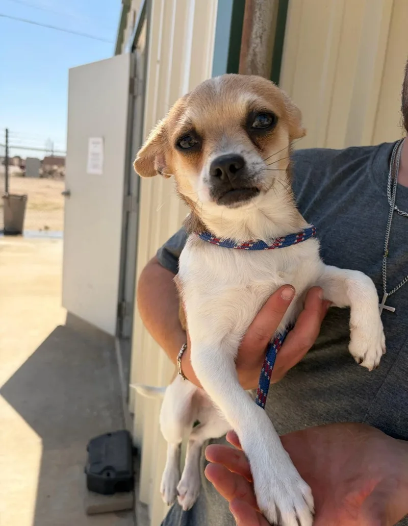 Sponsor Me  Roger thumbnail 3