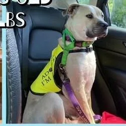 Gladys thumbnail 5