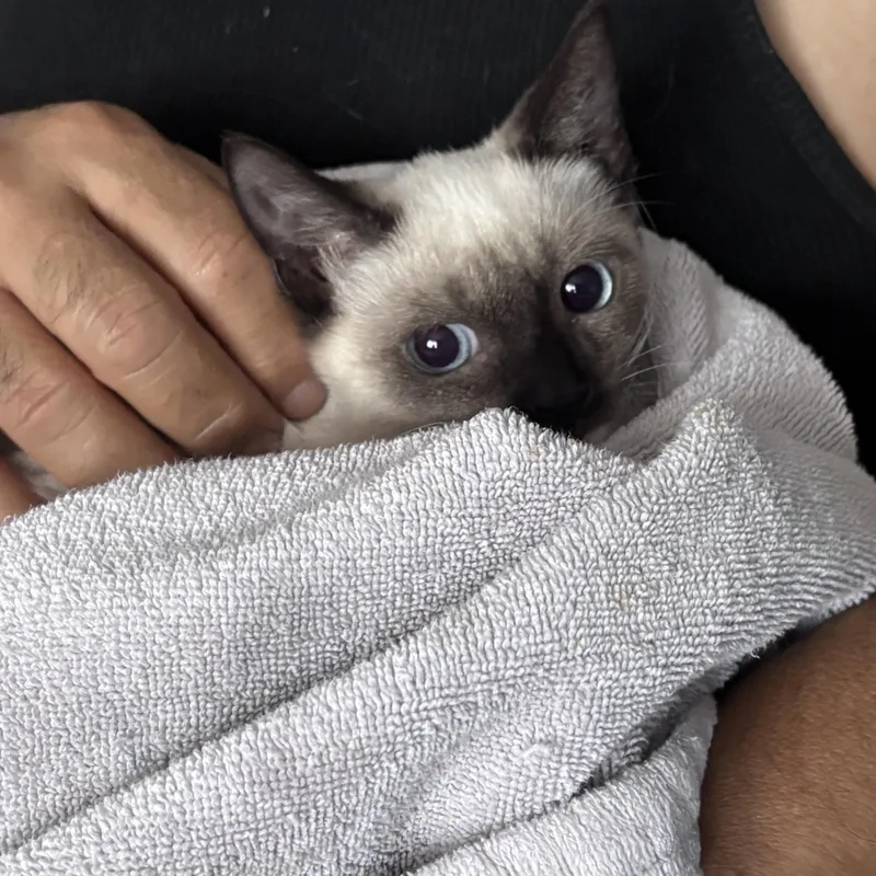 Beto & Enrique thumbnail 5