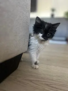 Sally