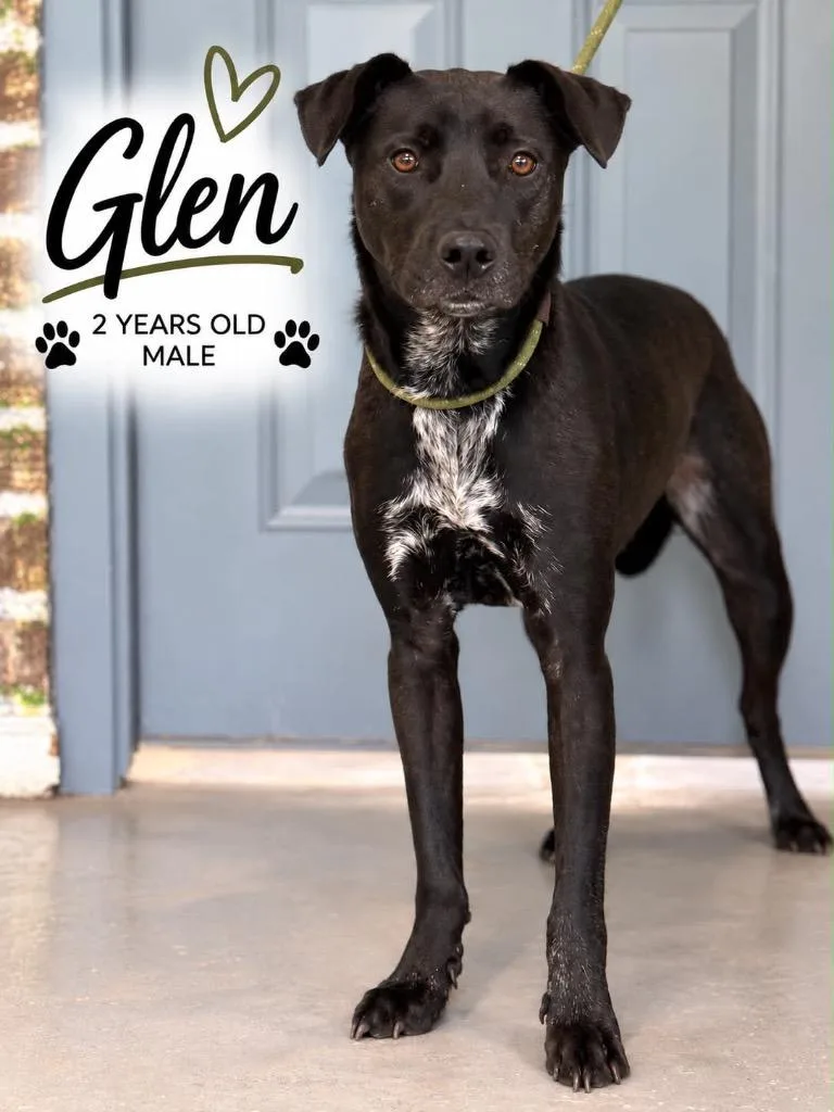 Glen thumbnail 3