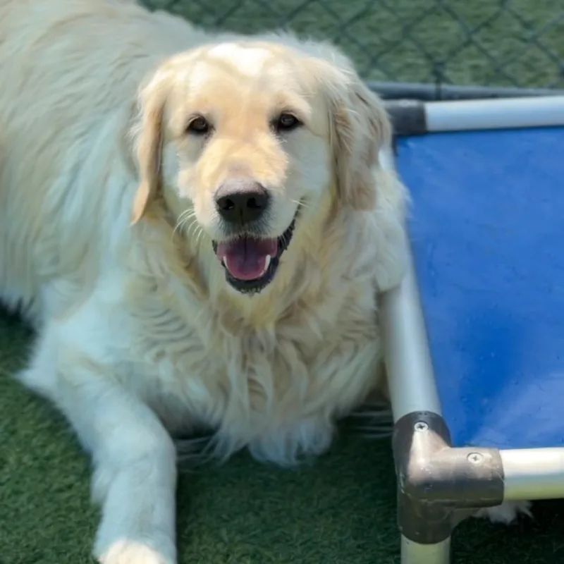 Hannah A thumbnail 2