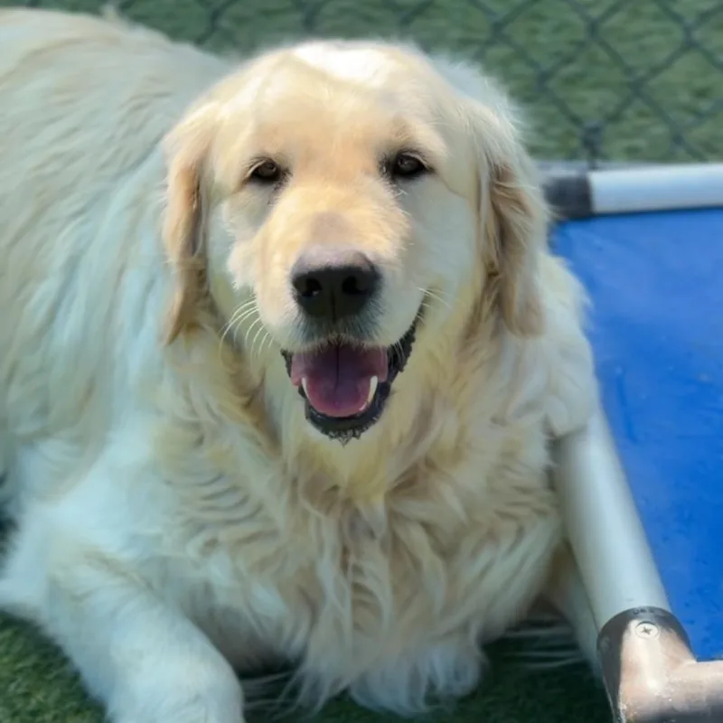 Hannah A thumbnail 3