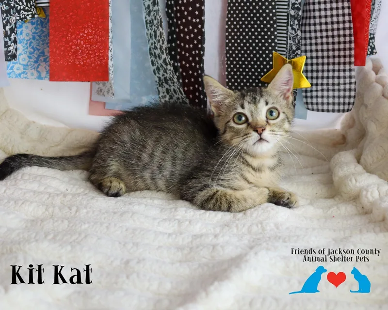 Kit Kat thumbnail 2