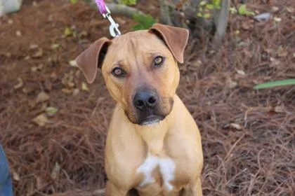 Rumble thumbnail 2