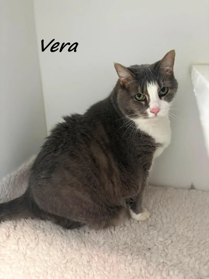 Vera