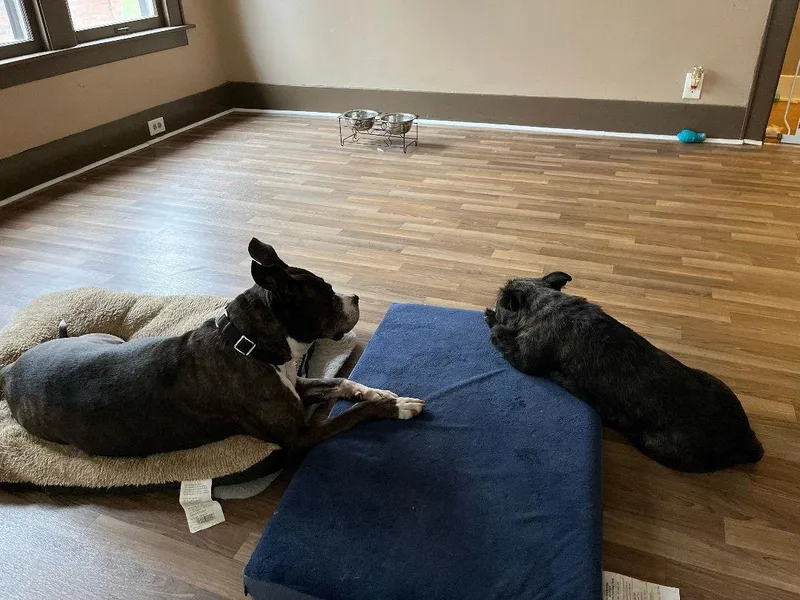 Zz Roxy~courtesy thumbnail 3