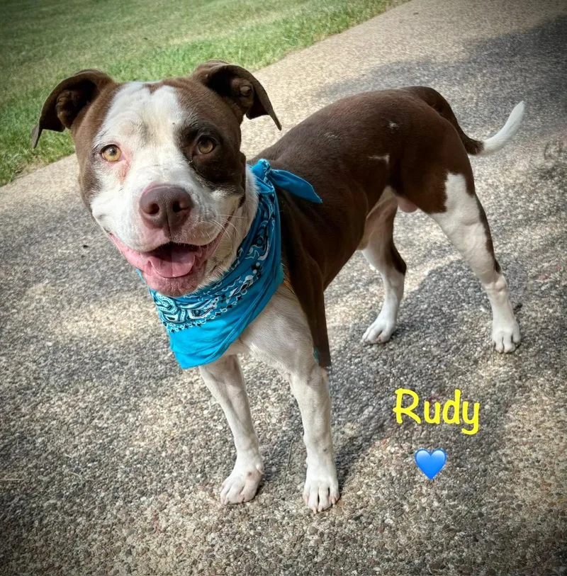 Rudy thumbnail 4