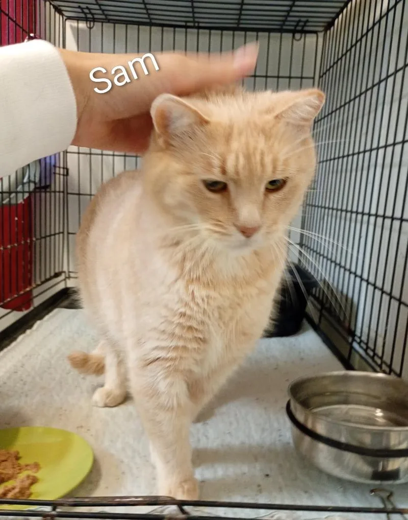 Sam