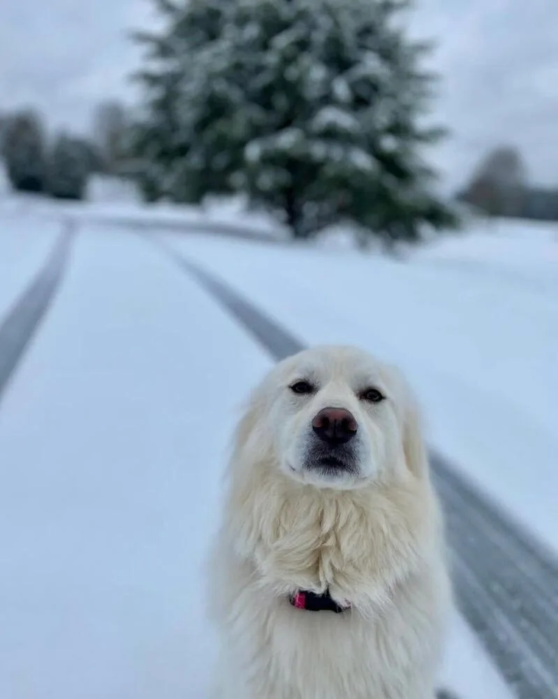 Delilah thumbnail 2