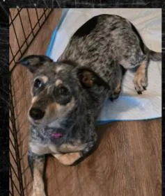 Talaya Slthw thumbnail 2