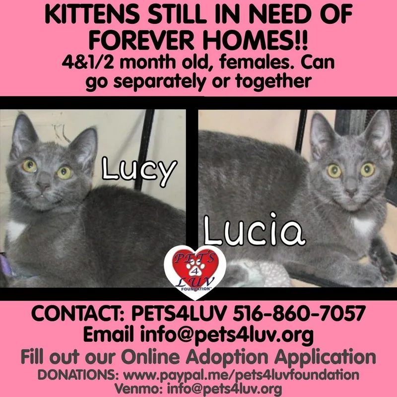 Lucy Laurelton thumbnail 2